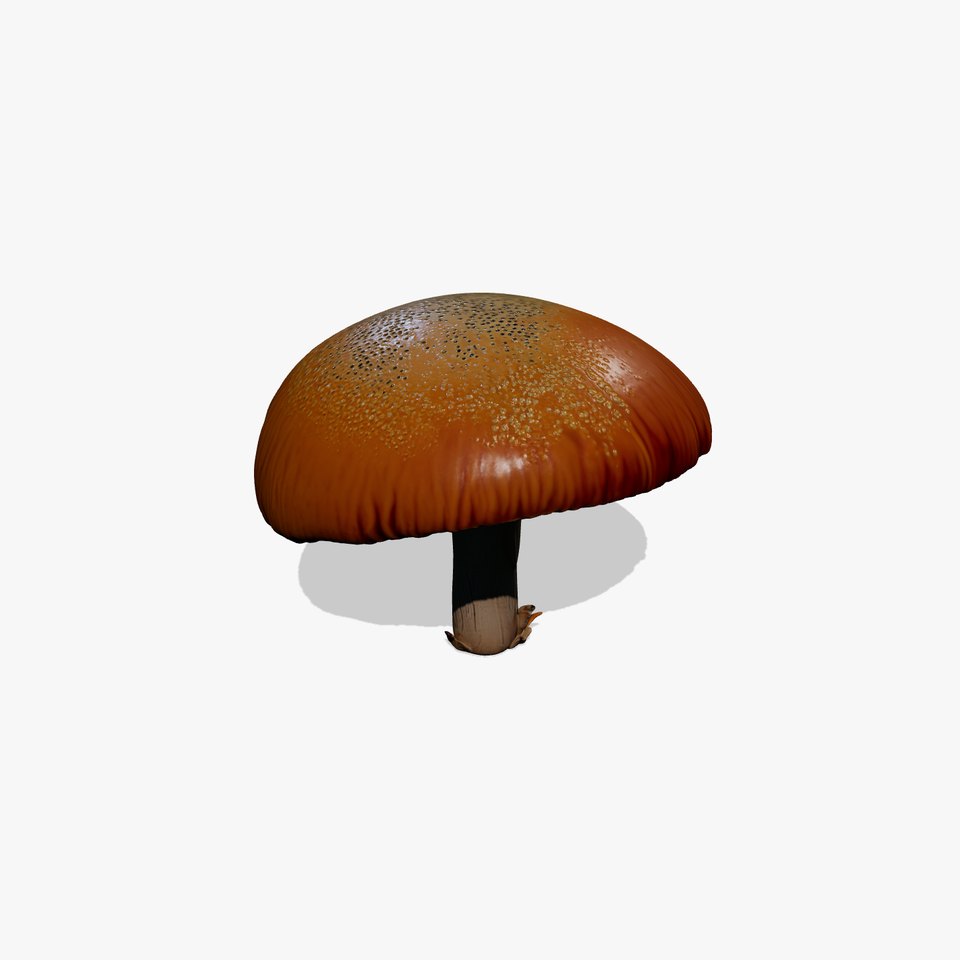 Winter Velvet Shank Mushroom model pack